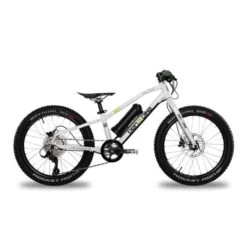 Ben-e-bike TWENTY E-Power E-Kinderfahrrad 20"