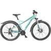 Bulls Racer Street Mountainbike Hardtail 29" - Petrol Türkis -Scott Verkäufe bulls 29 racer street mint 2022 97833 a