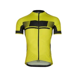 Dynamics Stripes 2.1 Radtrikot Kurzarm Herren