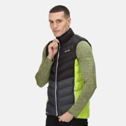 Regatta Harrock B/W Thermoweste Herren -Scott Verkäufe regatta harrock b w thermoweste herren schwarz kiwi 592963 e