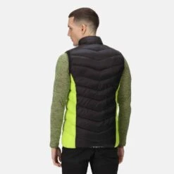 Regatta Harrock B/W Thermoweste Herren -Scott Verkäufe regatta harrock b w thermoweste herren schwarz kiwi 592963 f