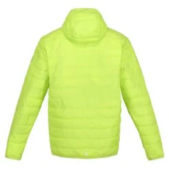 Regatta Hooded Hillpack Thermojacke Herren -Scott Verkäufe regatta hooded hillpack thermojacke herren kiwi 592972 c