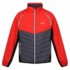 Regatta Steren Zip-Off Softshelljacke Herren -Scott Verkäufe regatta steren zip off softshelljacke herren rot grau 595599 a