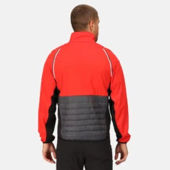 Regatta Steren Zip-Off Softshelljacke Herren -Scott Verkäufe regatta steren zip off softshelljacke herren rot grau 595599 f