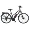 Triumph E-Bird Plus 8K E-Citybike