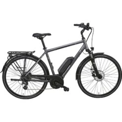 Triumph E-Bird Ultra 400 E-Bike City