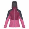 Regatta Desoto VIII Softshell Jacke Damen