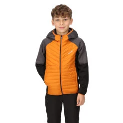Regatta Kielder Hybrid VI Radjacke Kinder 12 Regatta Kielder Hybrid VI Radjacke Kinder -Scott Verkäufe regatta kielder hybrid vi radjacke kinder orange 592610 e